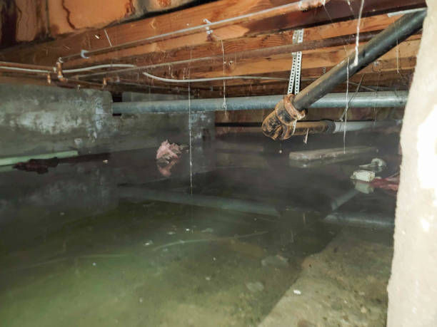 Best Basement water damage restoration  in Port Jervis, NY