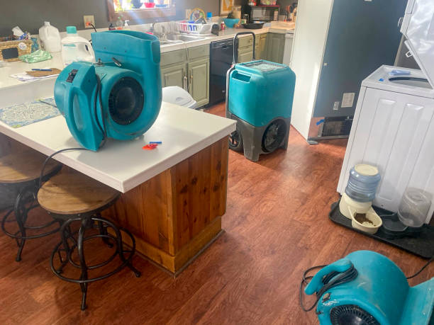 Best Water damage restoration near me  in Port Jervis, NY
