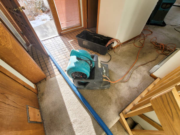 Best Basement water damage restoration  in Port Jervis, NY
