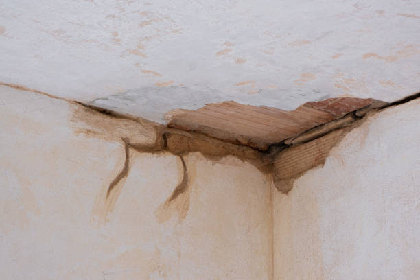 Best Water damage restoration process  in Port Jervis, NY
