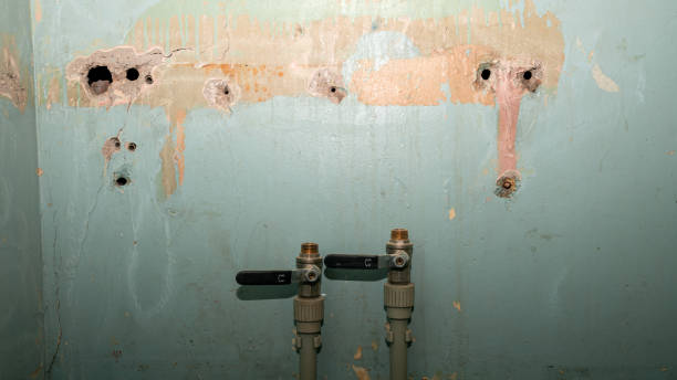 Best Mold removal after water damage  in Port Jervis, NY