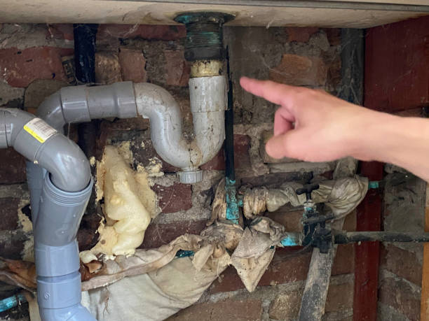 Best Professional water damage repair  in Port Jervis, NY