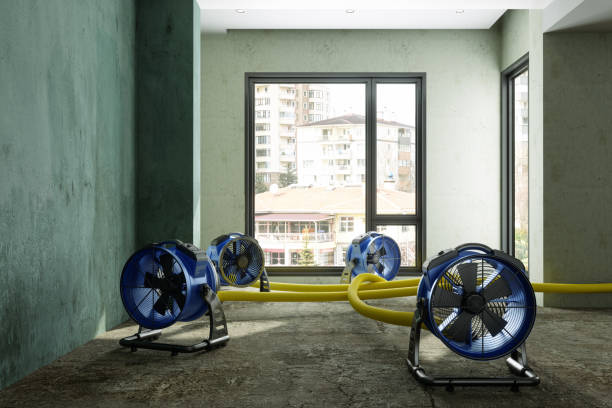 Best Local water damage restoration  in Port Jervis, NY