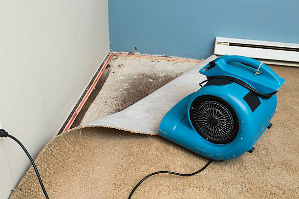 Best Flood damage cleanup  in Port Jervis, NY